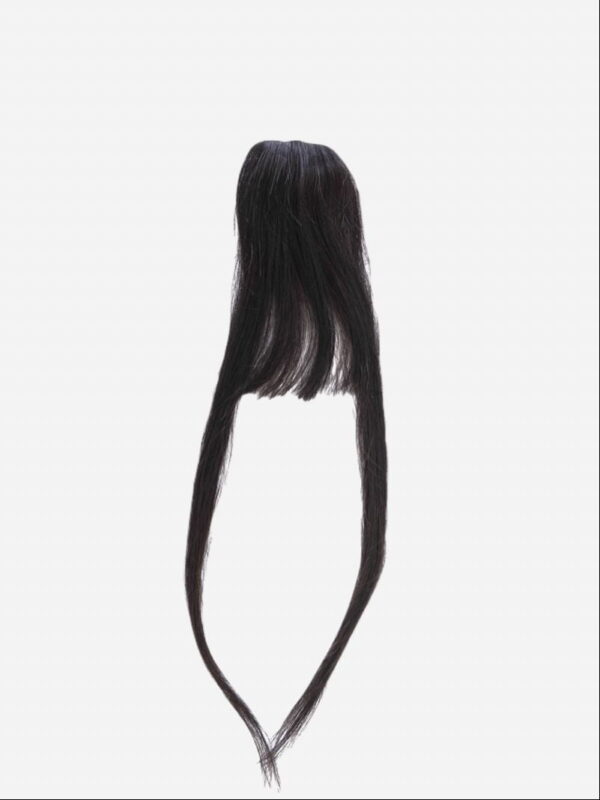 The Shell Hair 100% Human Clip in Hair Extentions High Dense Sad Bangs High Dense Sad Bangs,clip in hair extensions,real human hair,hair extensions near me,best hair extensions %wc_shortdesc % Clip-in streaks, Clip-in bangs, Volumizers, Human Hair Extensions, Hair Topper, Best Hair topper, Messy Bun Scrunchie, Trending Hair color, Best hair extensions in India, Hair Topper for women, Hair extensions online, Hair extensions for bald spots,100% human hair extensions, Nish hair, 1hairstop, One Hair, One Hair Stop, Hair orignals, Shark Tank Hair Extentions