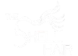 Shell Hair Logo